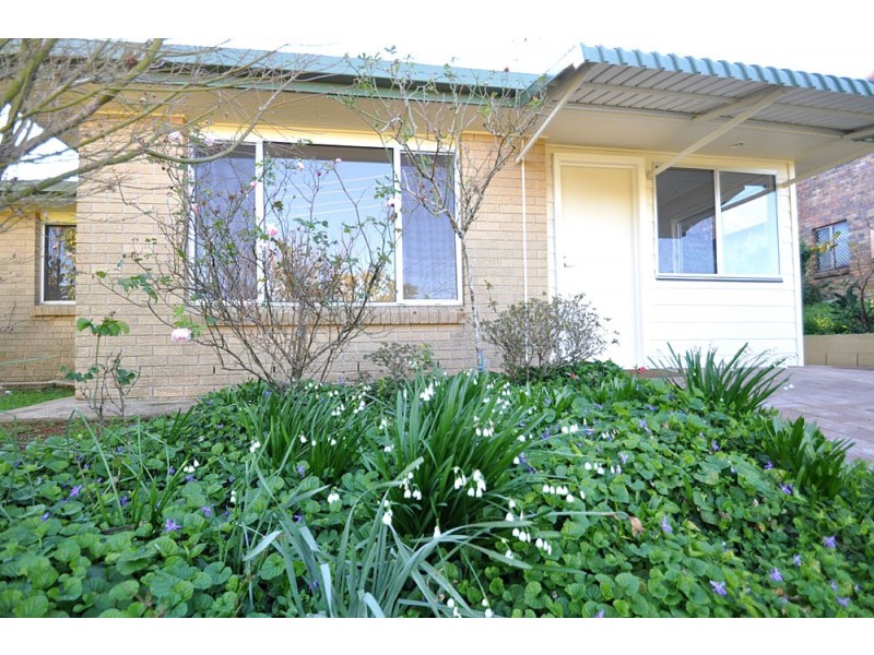 59 Coomera Gorge Drive, Tamborine Mountain QLD 4272