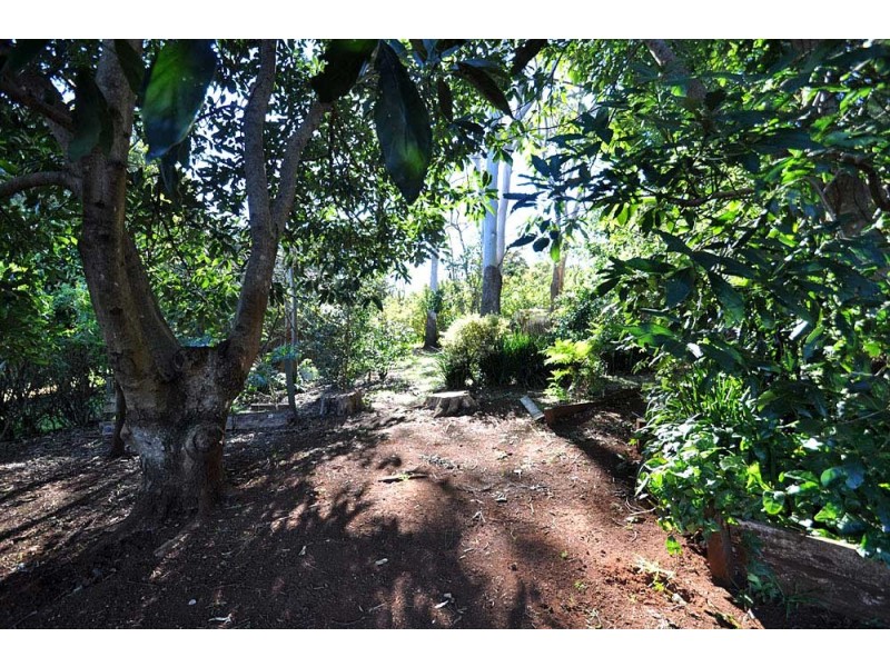 59 Coomera Gorge Drive, Tamborine Mountain QLD 4272