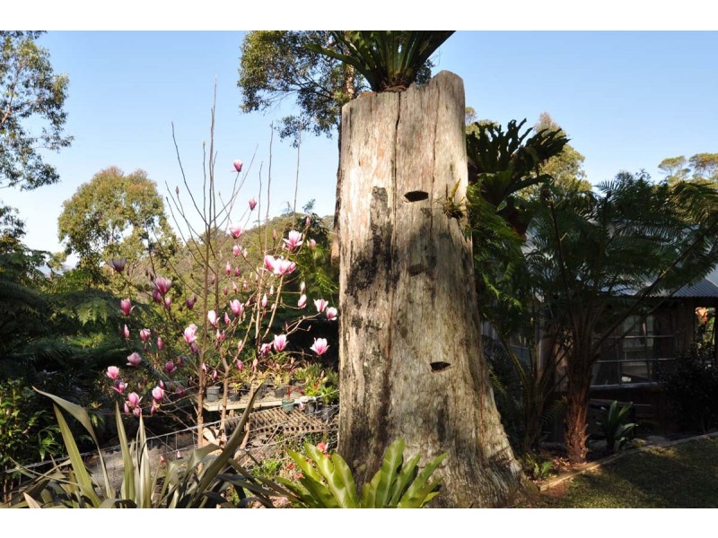 191 Wongawallan Road, Eagle Heights QLD 4271