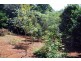 65 Long Road, Eagle Heights QLD 4271