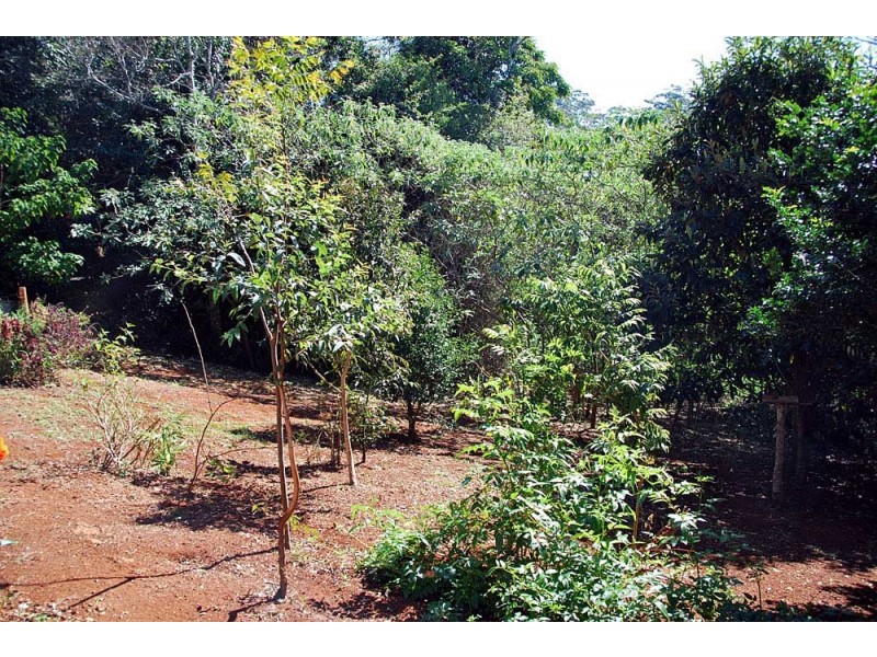 65 Long Road, Eagle Heights QLD 4271