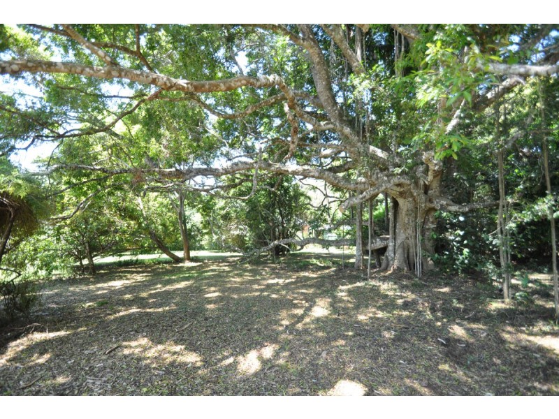 160 Hartley Road, Tamborine Mountain QLD 4272