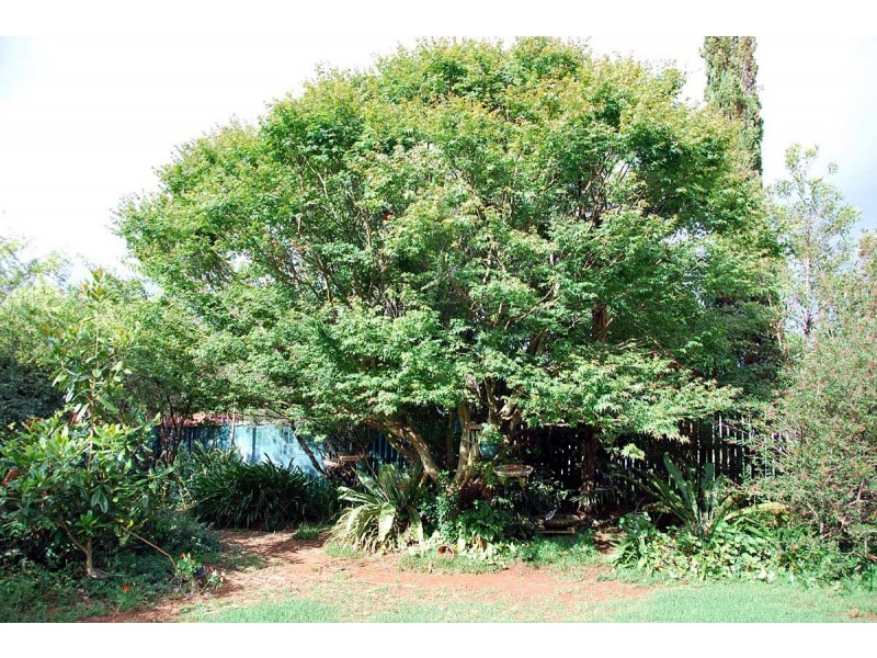 Tamborine Mountain QLD 4272