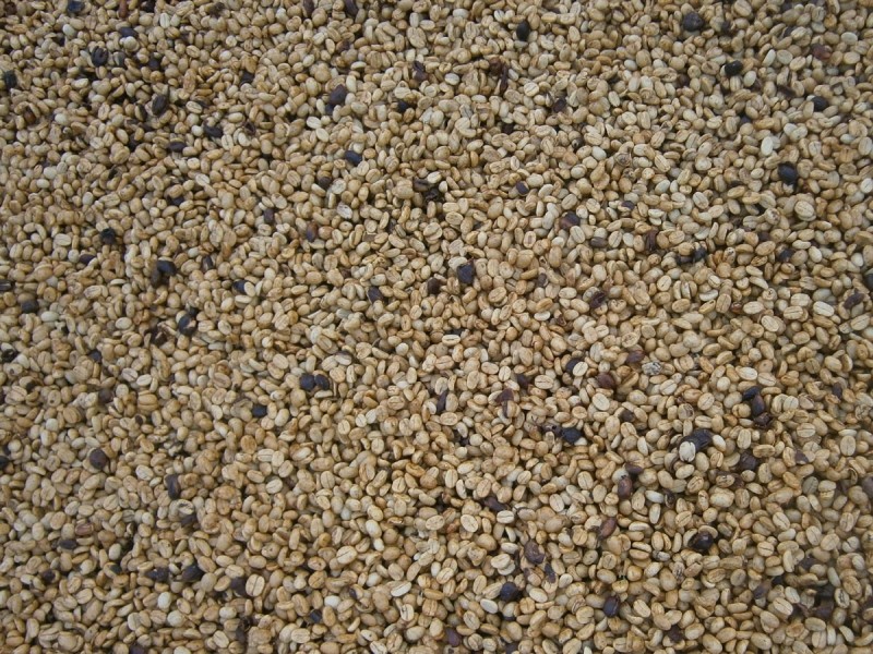 64-66 Alpine Terrace, Tamborine Mountain QLD 4272