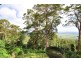 242 Beacon Road, North Tamborine QLD 4272
