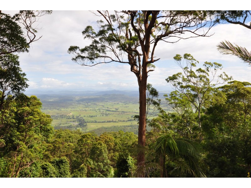 242 Beacon Road, North Tamborine QLD 4272