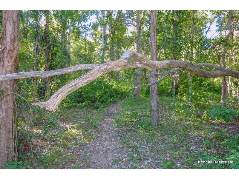 57 Palomino Road, Tamborine QLD 4270