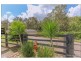 503 Cedar Creek Road, Cedar Creek QLD 4207