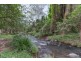 503 Cedar Creek Road, Cedar Creek QLD 4207