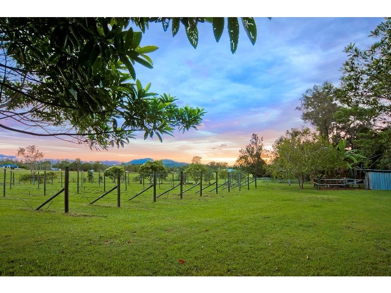 1 Thornbird Court, Boyland QLD 4275