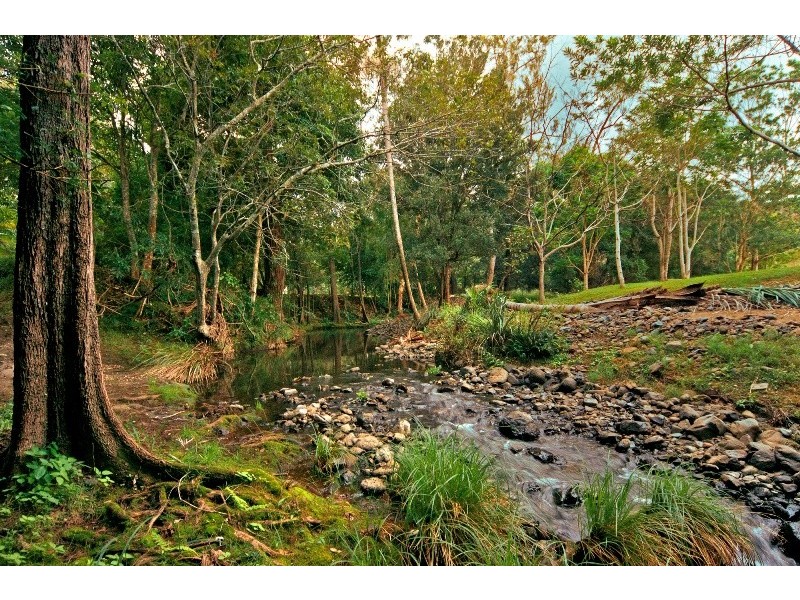 1 Thornbird Court, Boyland QLD 4275