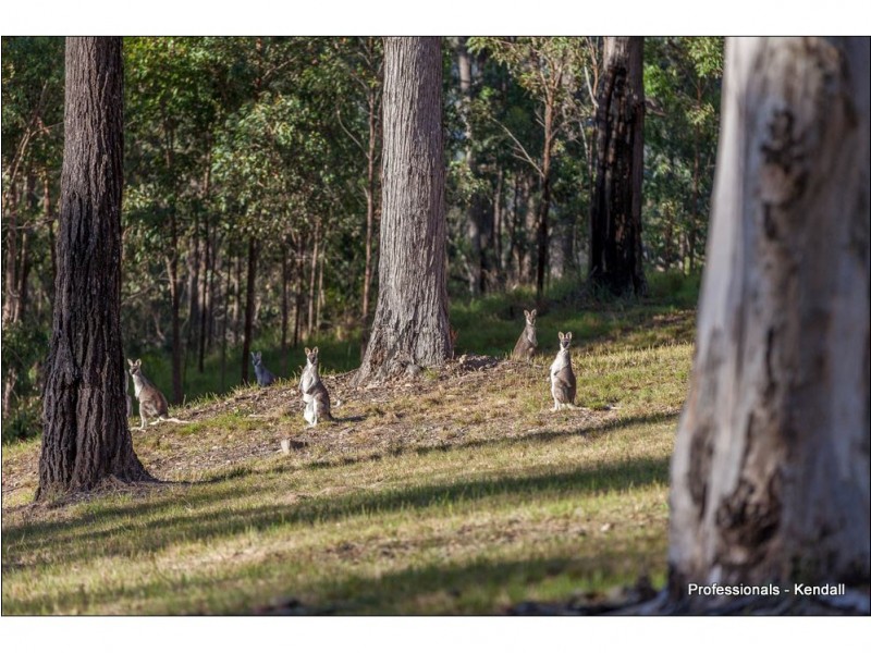 1625 Tamborine-Oxenford Road, Eagle Heights QLD 4271