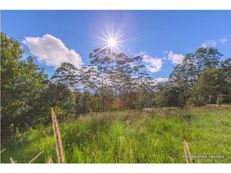 82 Contour Road, Tamborine Mountain QLD 4272