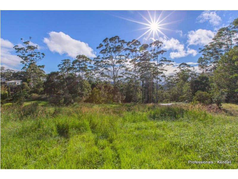 82 Contour Road, Tamborine Mountain QLD 4272