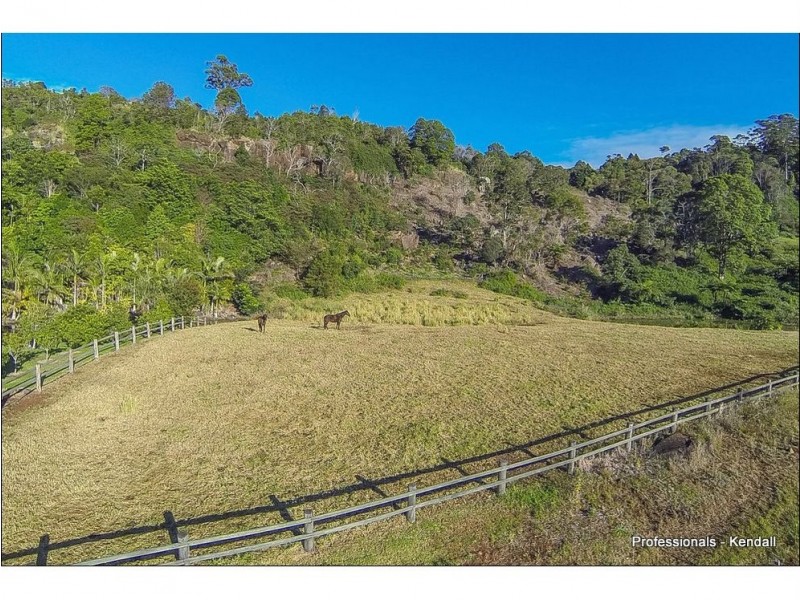 45 The Shelf Road, Tamborine Mountain QLD 4272