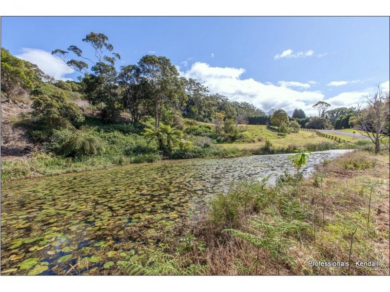 45 The Shelf Road, Tamborine Mountain QLD 4272