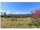 45 The Shelf Road, Tamborine Mountain QLD 4272