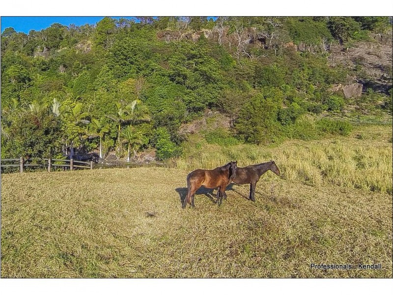 45 The Shelf Road, Tamborine Mountain QLD 4272
