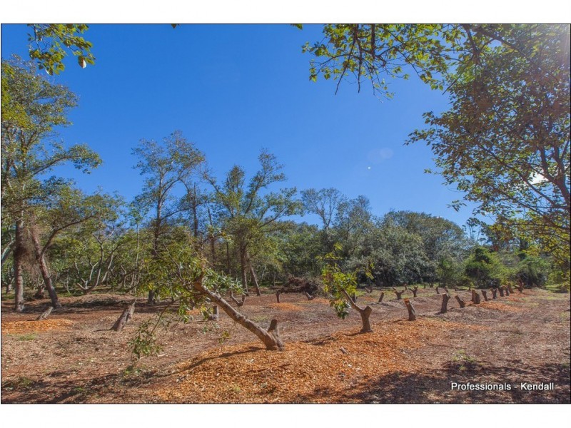 44 Holt Road, Tamborine Mountain QLD 4272