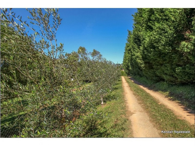 68 Alpine Terrace, Tamborine Mountain QLD 4272