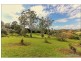 68 Alpine Terrace, Tamborine Mountain QLD 4272