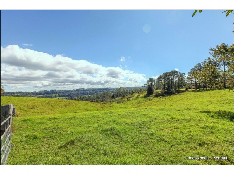 Lot 3 / 60 Guanaba Road, Tamborine Mountain QLD 4272