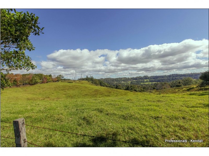 Lot 3 / 60 Guanaba Road, Tamborine Mountain QLD 4272