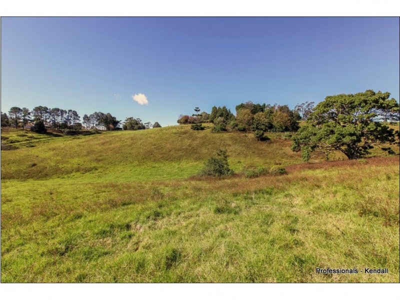 Lot 3 / 60 Guanaba Road, Tamborine Mountain QLD 4272