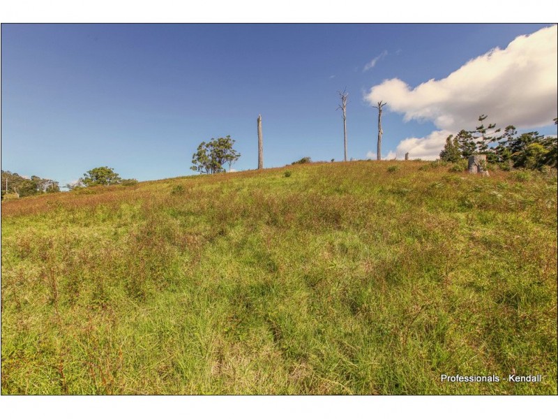 Lot 3 / 60 Guanaba Road, Tamborine Mountain QLD 4272