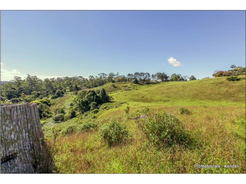 Lot 3 / 60 Guanaba Road, Tamborine Mountain QLD 4272