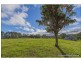 24 Benowa Street, Tamborine Mountain QLD 4272
