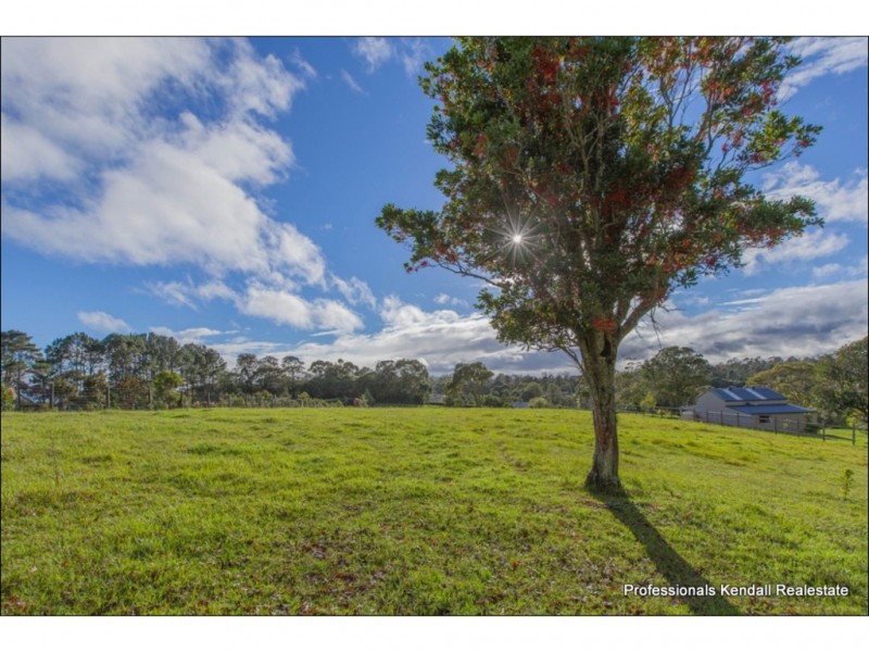 24 Benowa Street, Tamborine Mountain QLD 4272