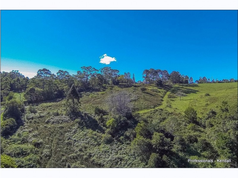 Lot 2 / 48 Guanaba Road, Tamborine Mountain QLD 4272