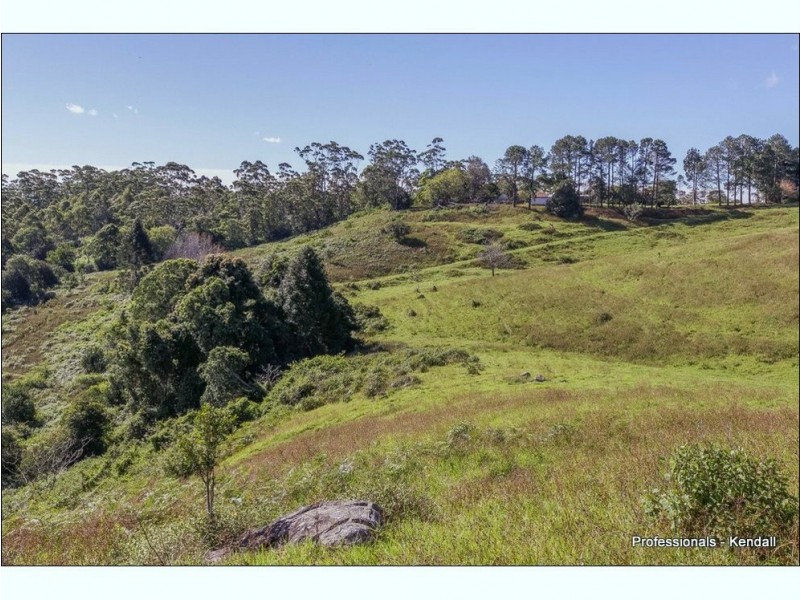 Lot 2 / 48 Guanaba Road, Tamborine Mountain QLD 4272