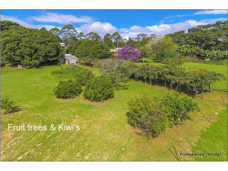 46 Prospect Street, Tamborine Mountain QLD 4272