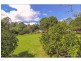 46 Prospect Street, Tamborine Mountain QLD 4272