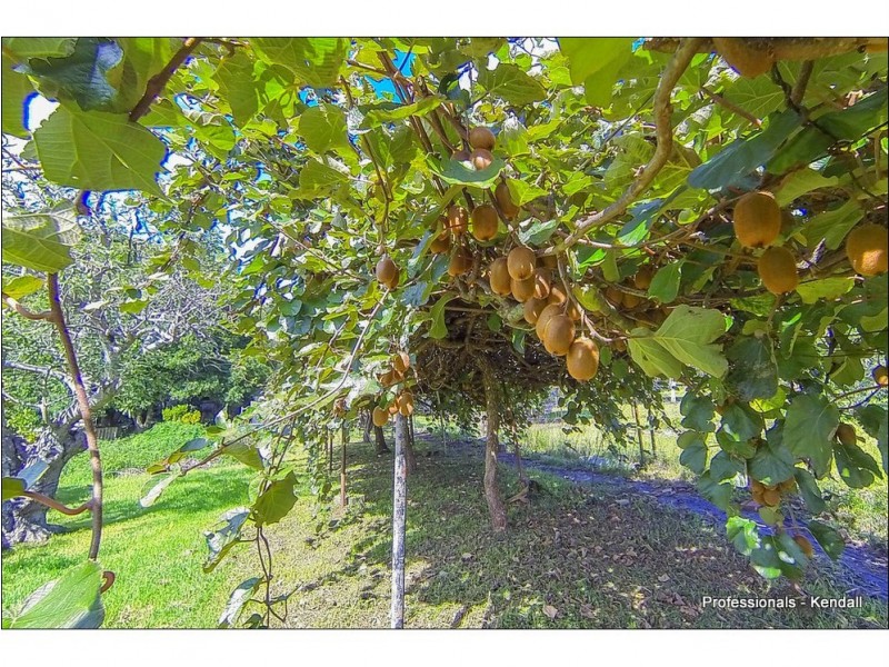 46 Prospect Street, Tamborine Mountain QLD 4272
