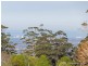 91 Wongawallan Road, Eagle Heights QLD 4271