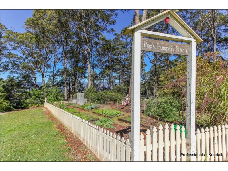25 Munro Court, Tamborine Mountain QLD 4272