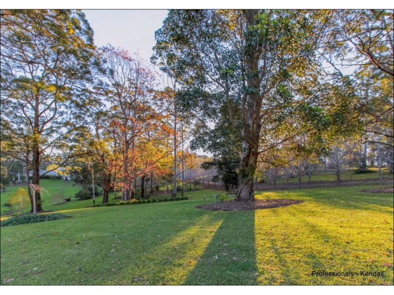 25 Munro Court, Tamborine Mountain QLD 4272