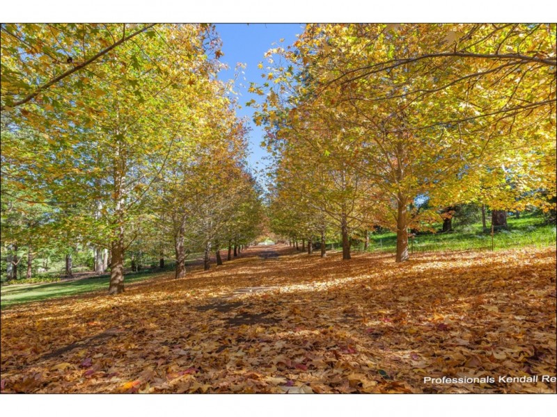 25 Munro Court, Tamborine Mountain QLD 4272