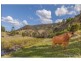 Illinbah QLD 4275