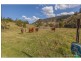 Illinbah QLD 4275