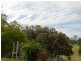 109 Rowe Rd, Ferny Glen QLD 4275