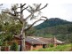 109 Rowe Rd, Ferny Glen QLD 4275