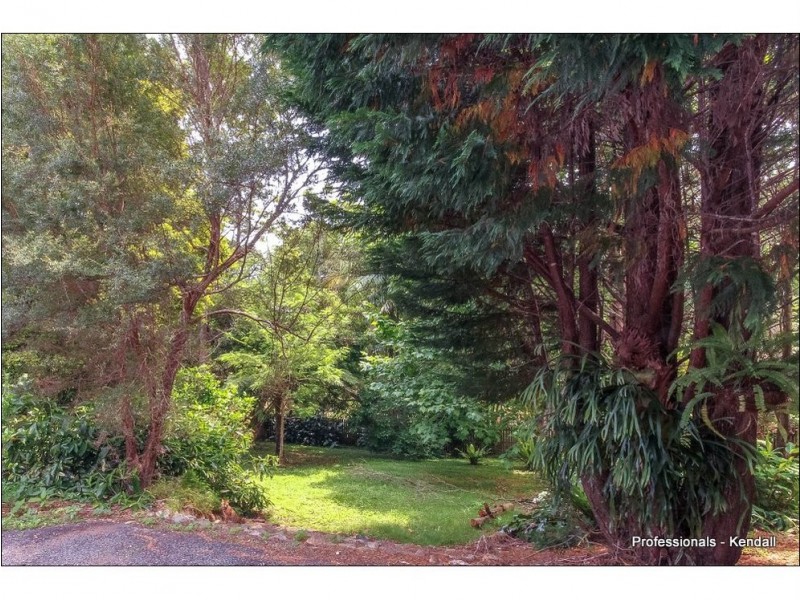 4 Ben Nevis Street, Tamborine Mountain QLD 4272