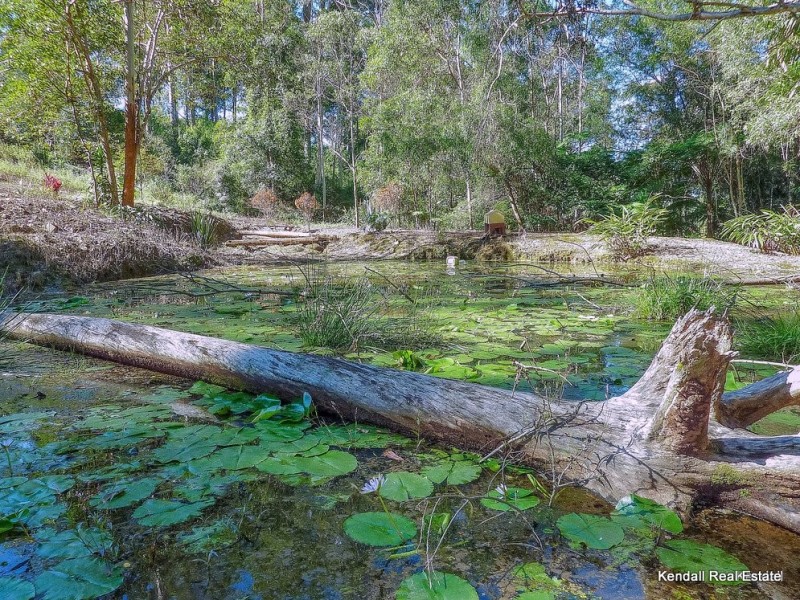 13 Eagles Retreat Place, Eagle Heights QLD 4271