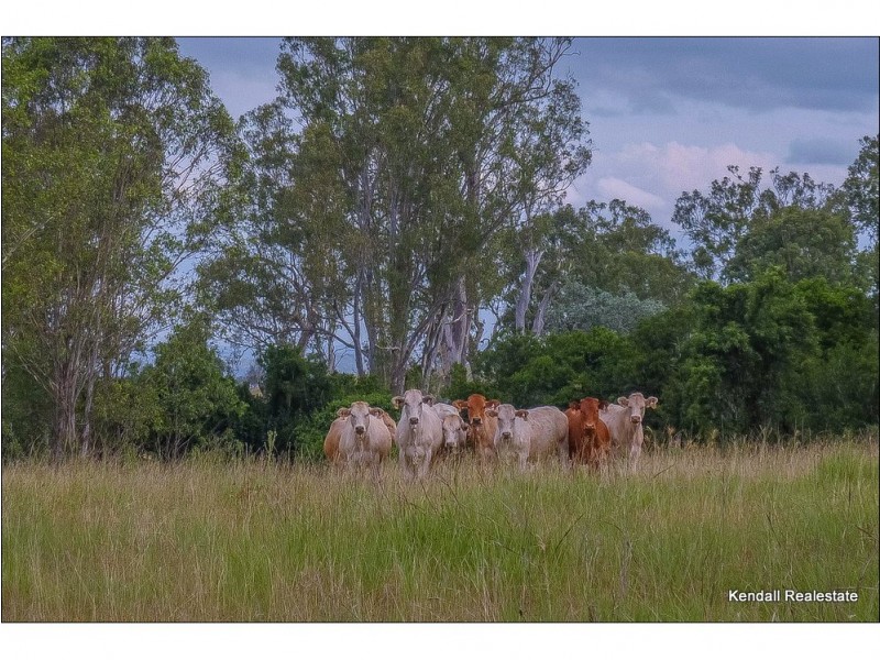 25 Wyatt Road, Jimboomba QLD 4280