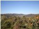 Lot 157 Jourdana Drive, Cedar Creek QLD 4207