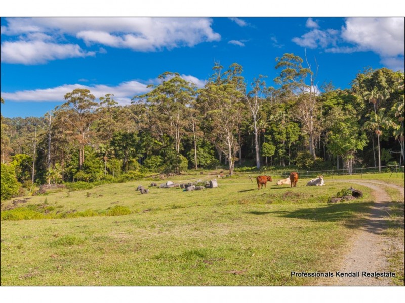 110 The Shelf Road, Tamborine Mountain QLD 4272